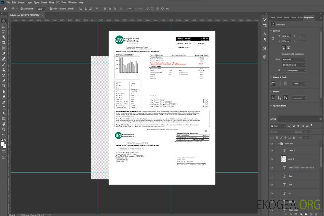 Modèle de facture de services publics d'entreprise USA Craighead Electric aux formats Word et PDF template